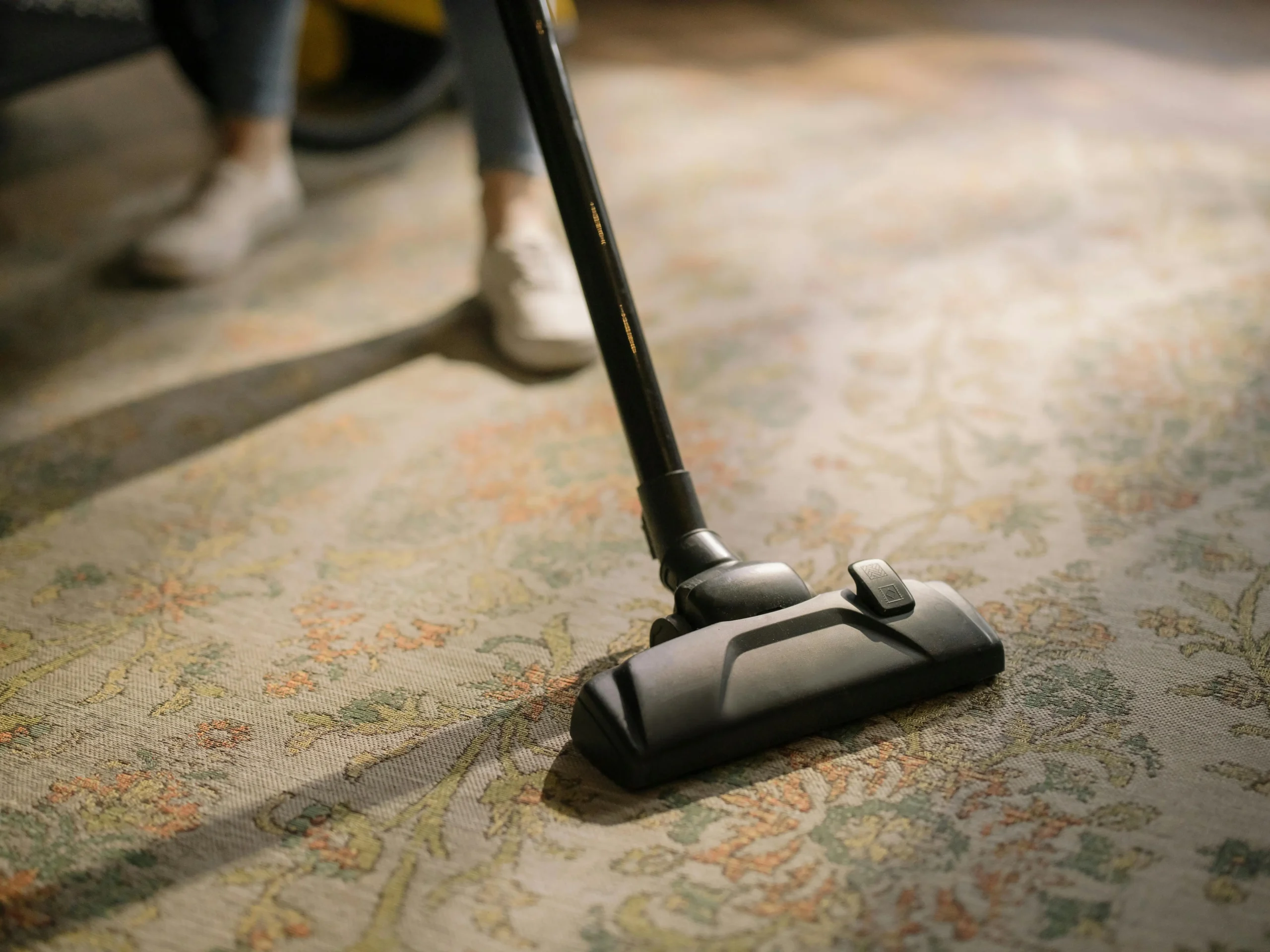 Commercial Carpet Cleaning Services in Miami