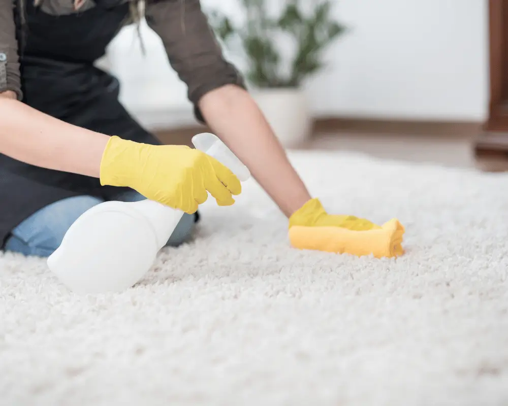 carpet cleaning services miami