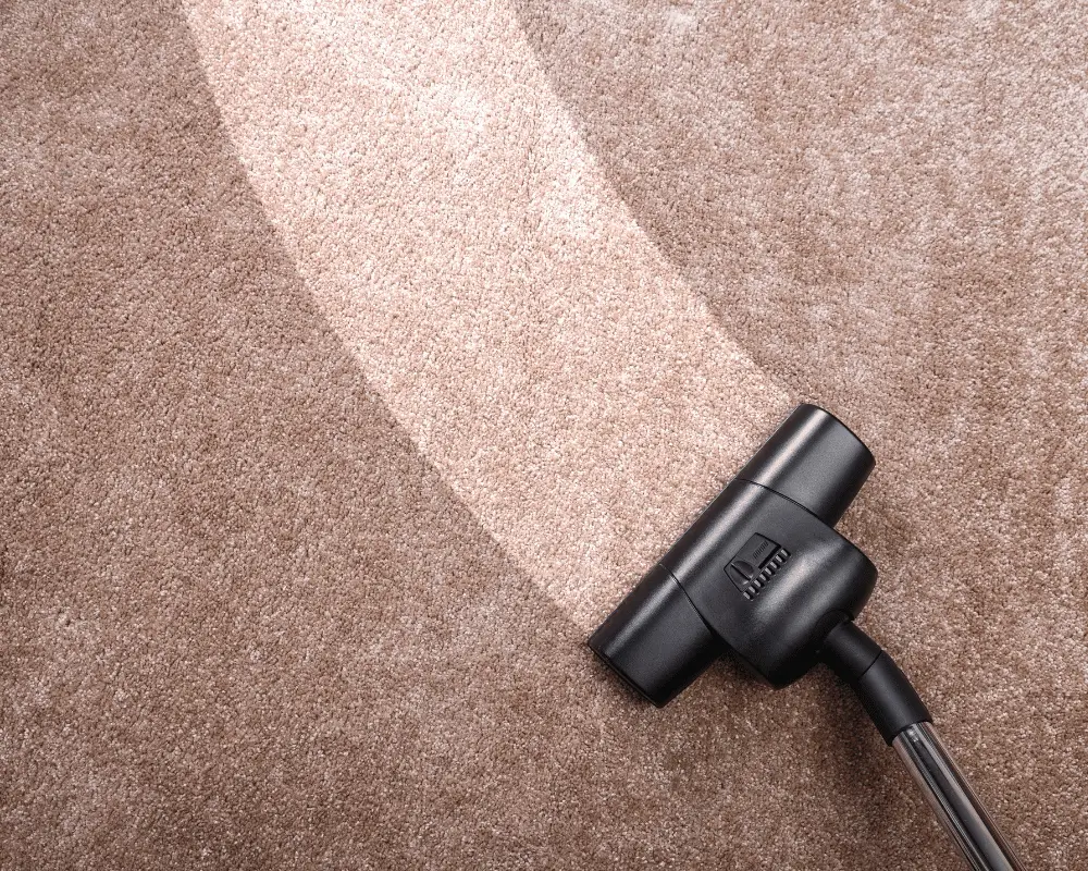 carpet cleaning services miami